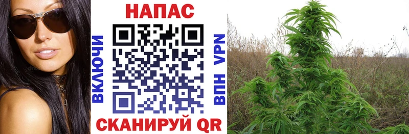 Все наркотики Суворов Амфетамин Гашиш Бошки Шишки COCAIN MEGA сайт APVP