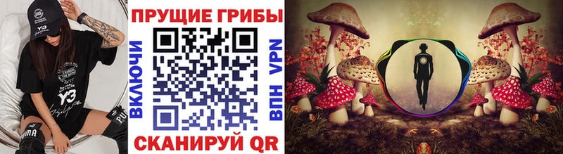 shop наркотические препараты  Суворов  Галлюциногенные грибы Psilocybe 