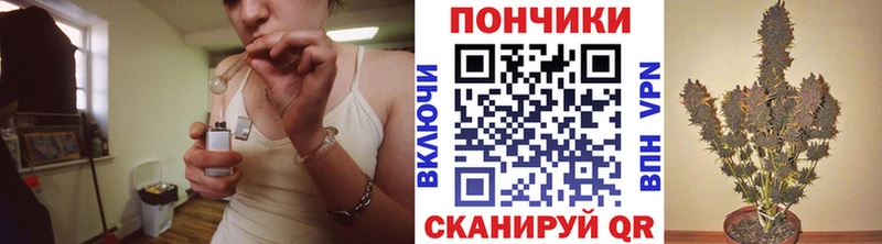 магазин продажи наркотиков  Суворов  мориарти телеграм  Конопля гибрид  hydra  